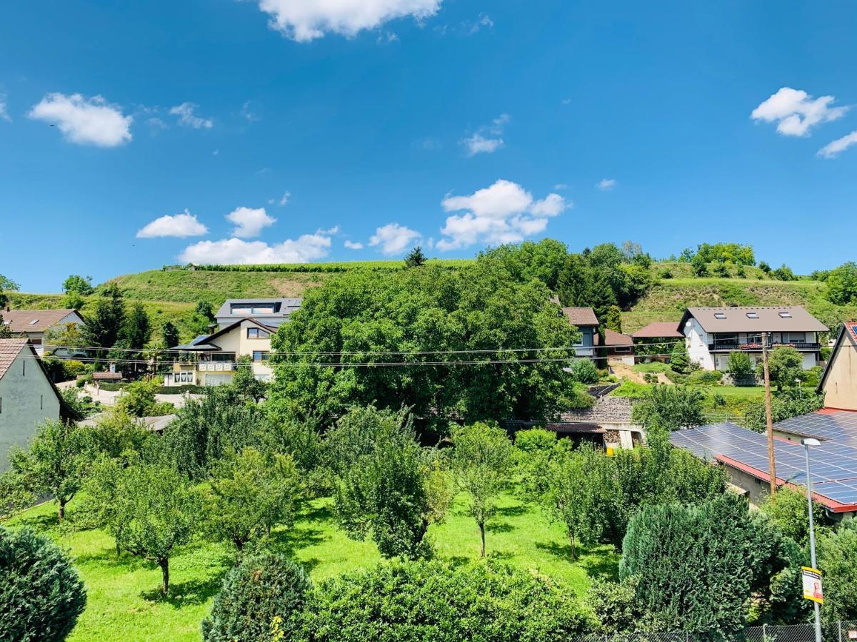 Ferienwohnung Liesel - Kuche, Bad, Wlan, 3 Schlafzimmer, Parkplatz Malterdingen Exteriör bild